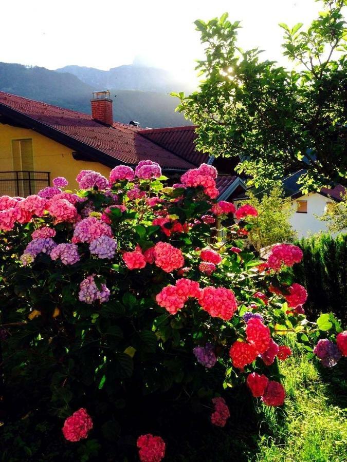 Cosy Cottage With Views Near Kobarid Zewnętrze zdjęcie